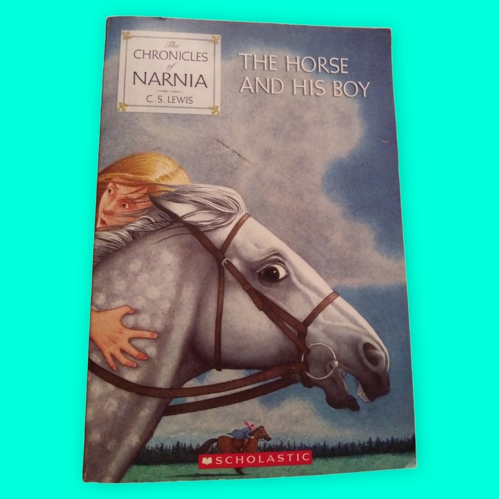 THE CHRONICLES OF NARNIA PAPERBACK BOOKS BY CS LEWIS (SERIES BOOKS)